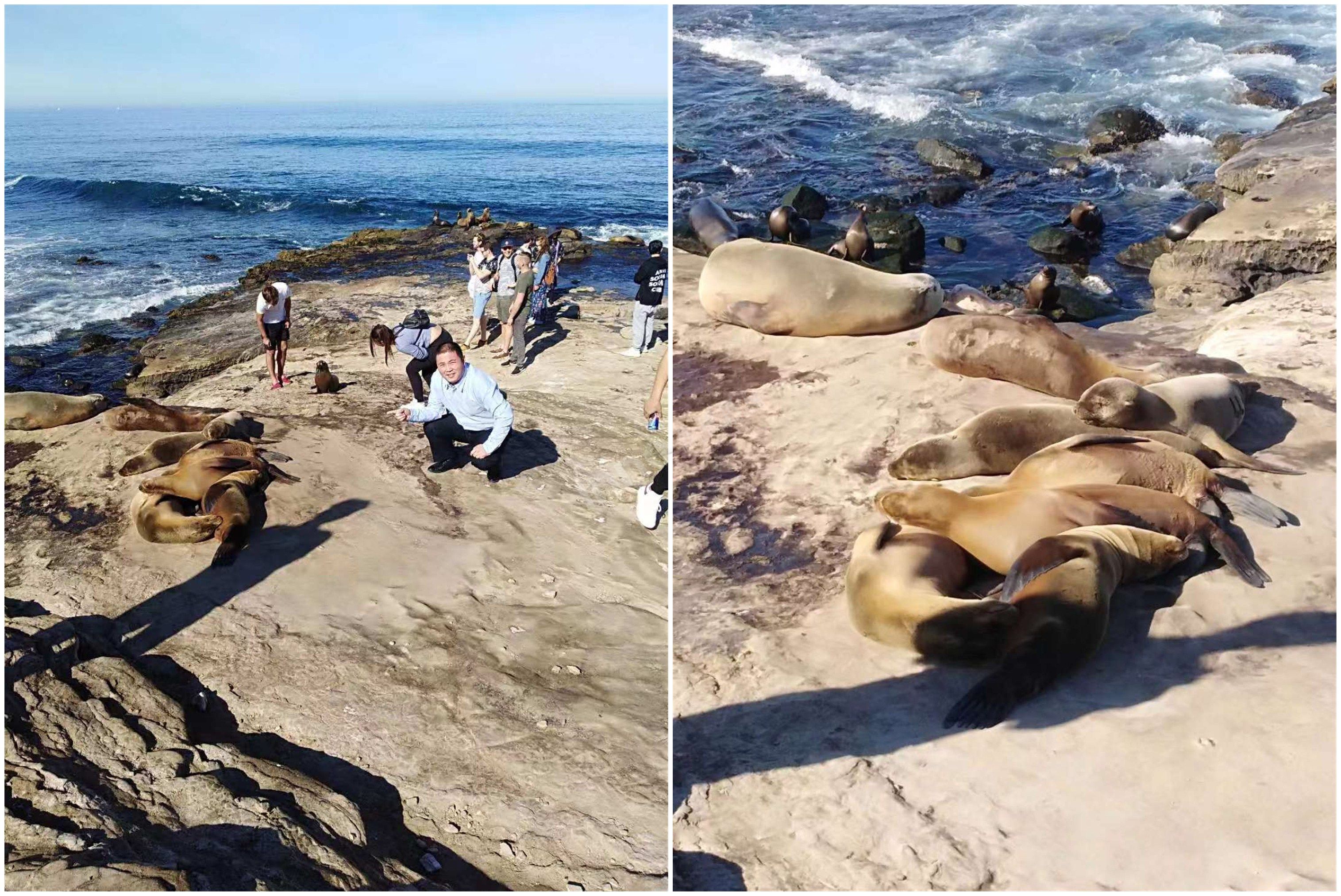 1550200242461968.jpg 1550200242461968.jpg